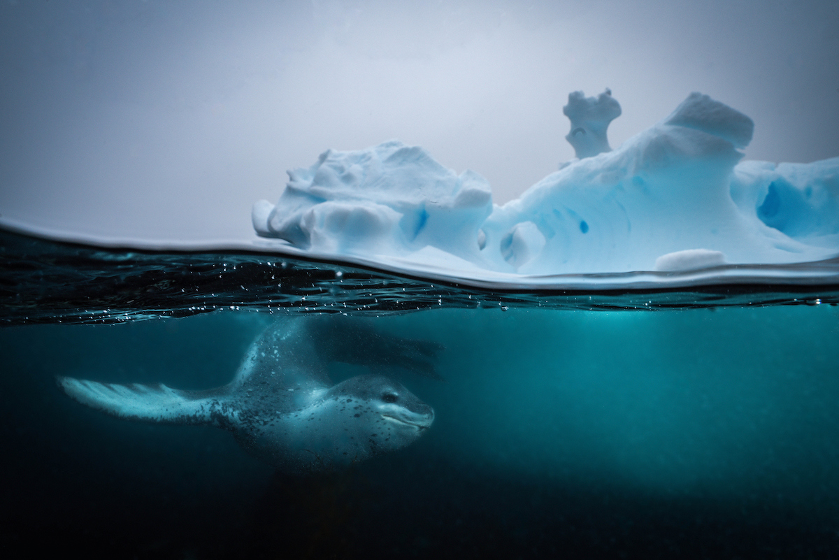 Antarctica