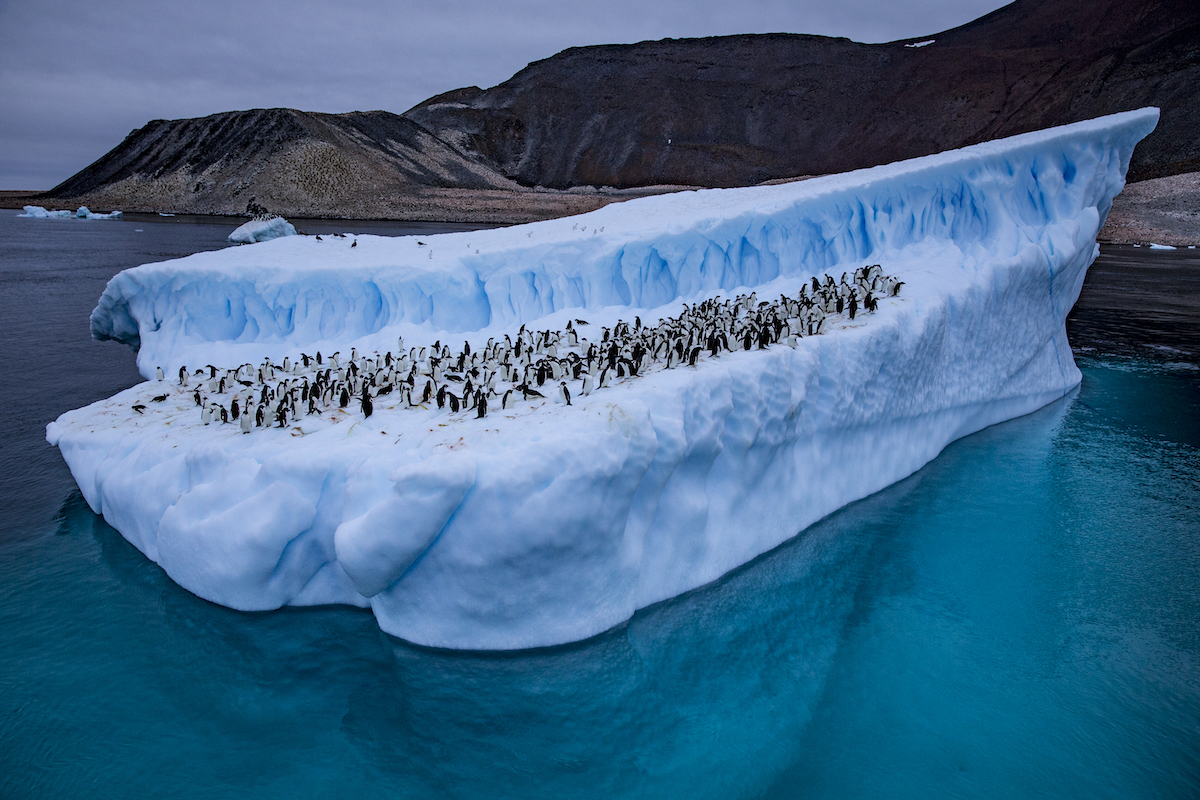 Antarctica
