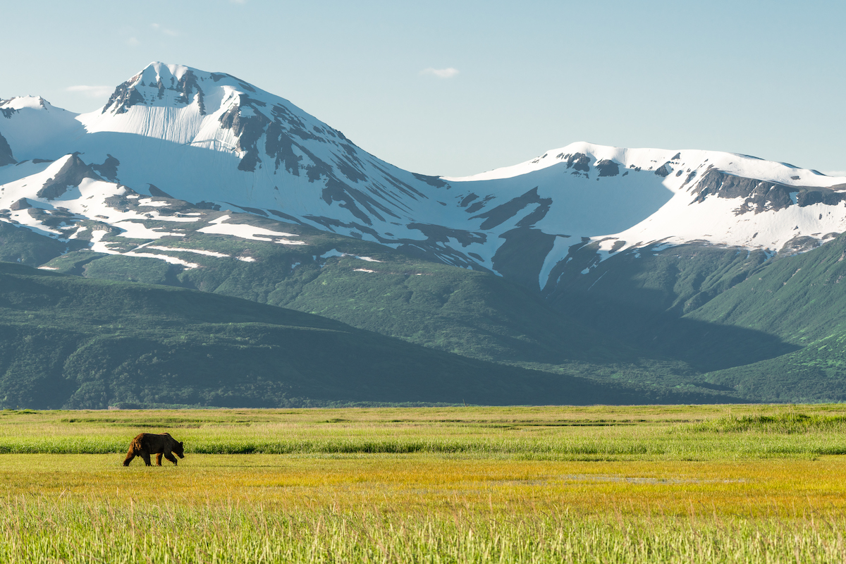 Bristol Bay, Alaska, USA