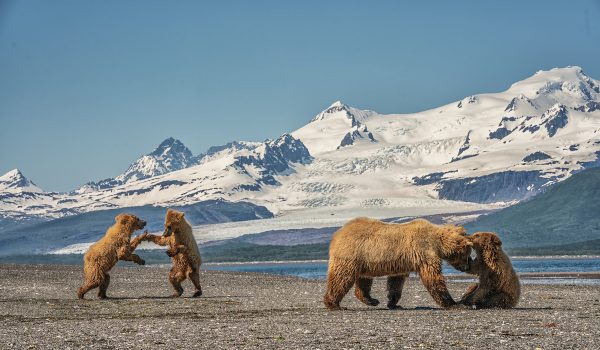 Bristol Bay, Alaska, USA