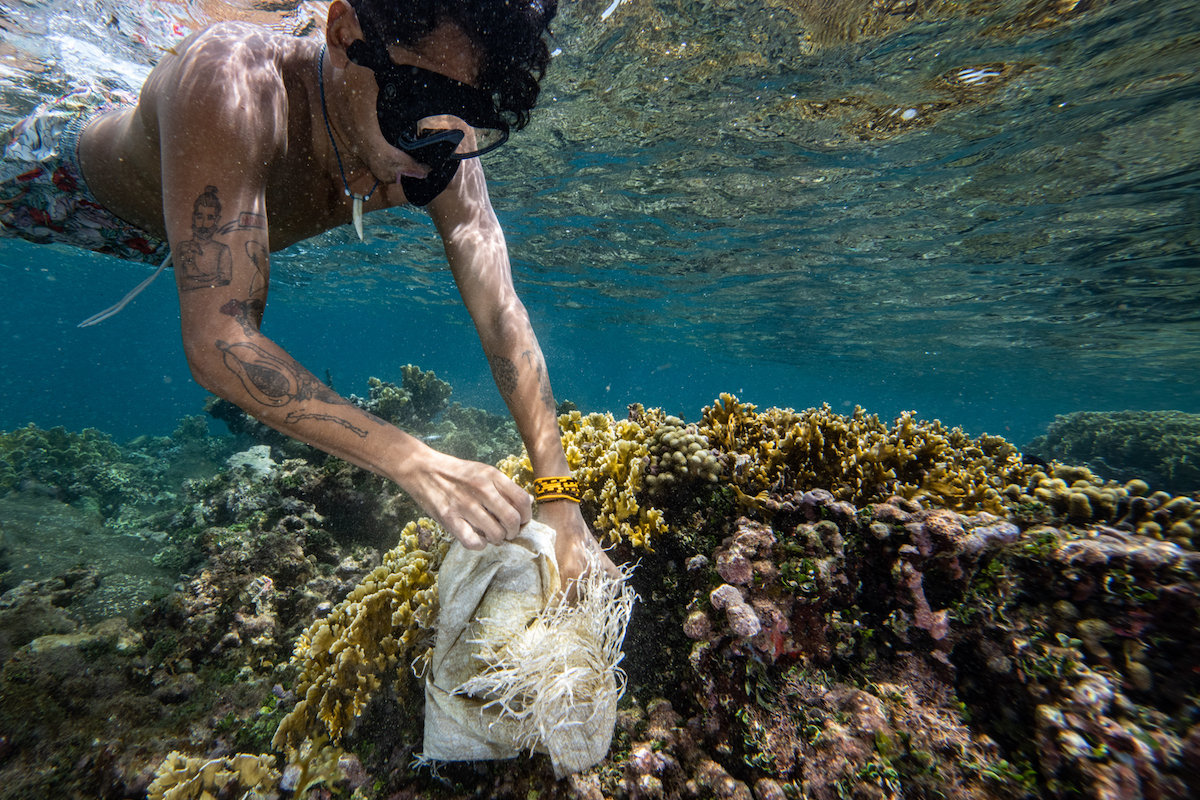 Plastic cleanup in ocean