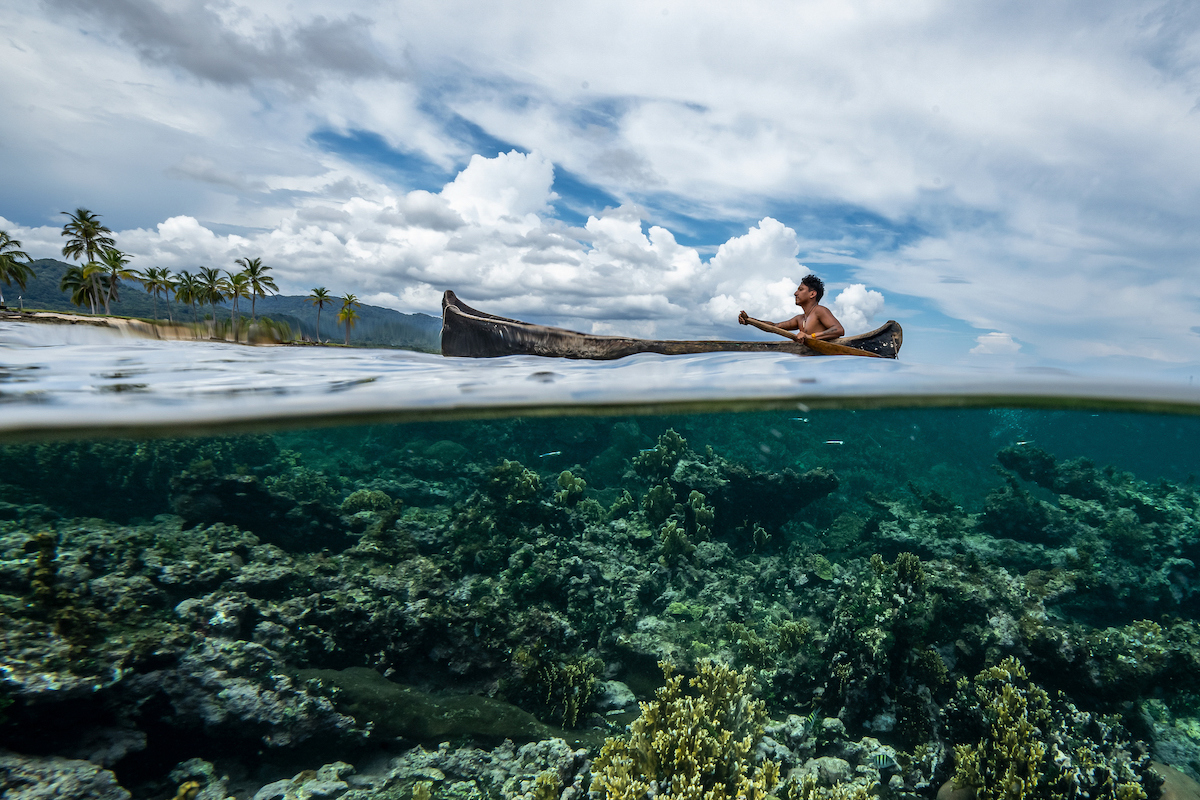 SeaLegacy Giveaway: 60 Seconds for the Sea